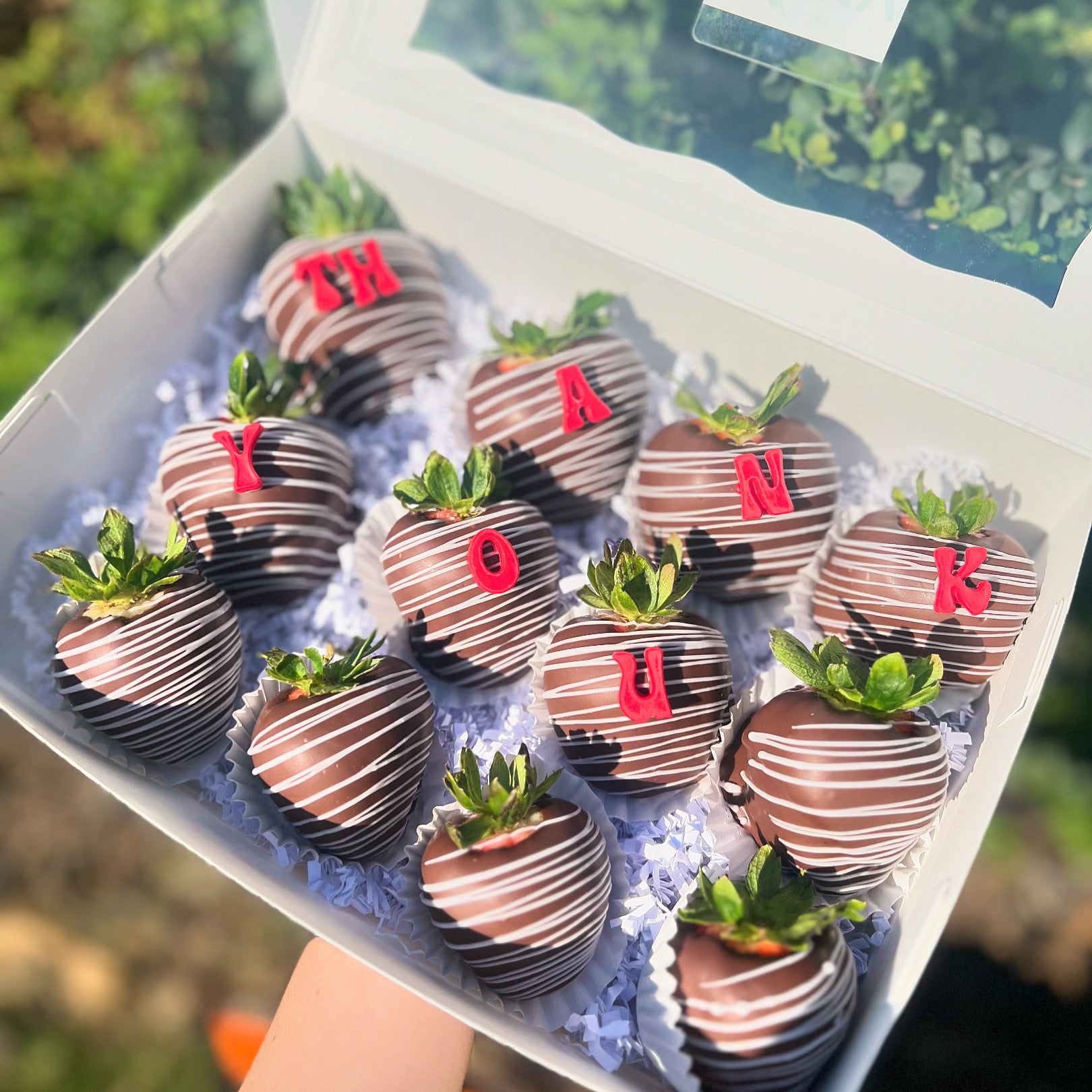 news  生きろ  strawberry  スペシャルボックス Full Dozen Customized Options | BerryHolics